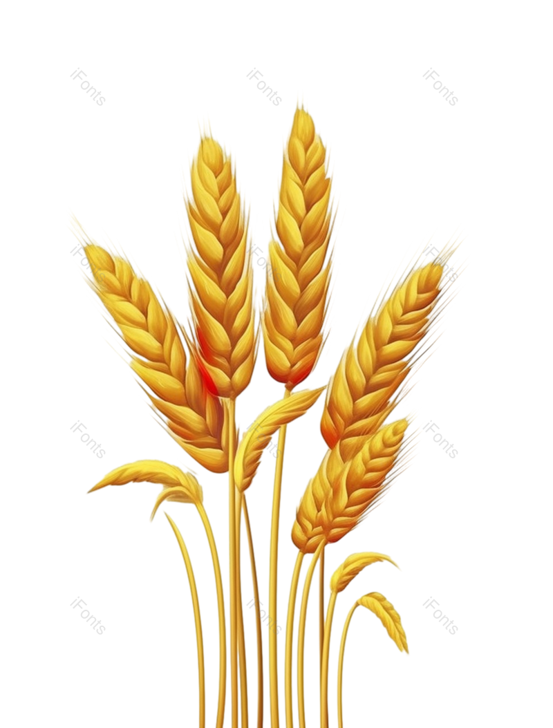 芒种图片,元素元素,卡通PNG,麦穗免抠素材